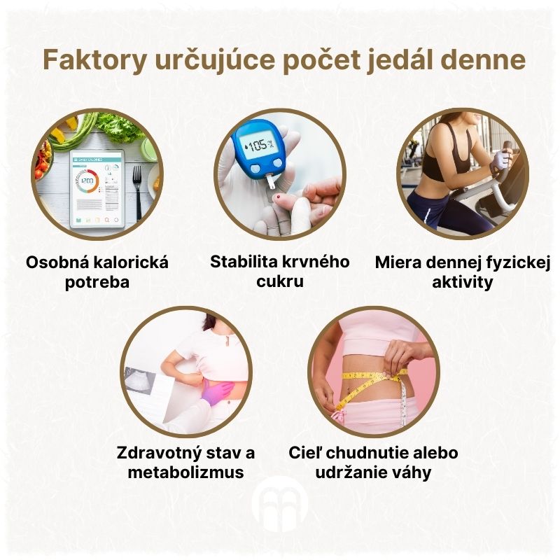 (Slovenčina) Faktory určující počet jídel denně